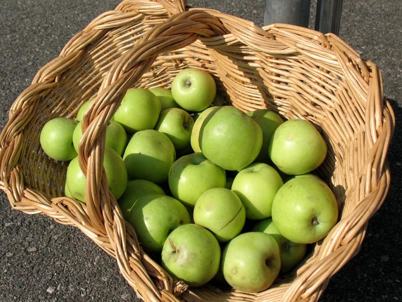 Basket of pom matan
