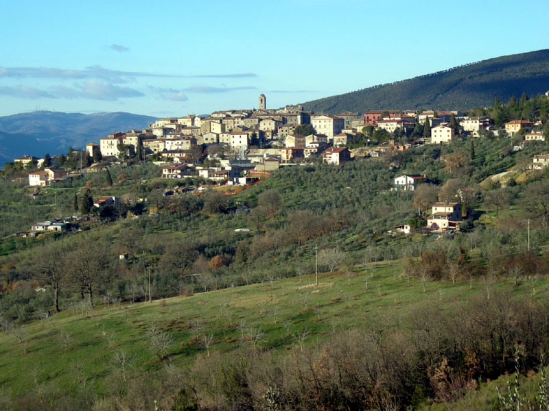 Panoramica di Montecchio