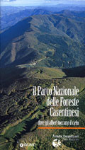 "Il Parco Nazionale delle Foreste Casentinesi: dove gli alberi toccano il cielo"