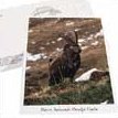 Postcard Prealpi Giulie Park - Alpine Ibex