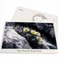 Postcard Prealpi Giulie Park - Pulsatilla alpina