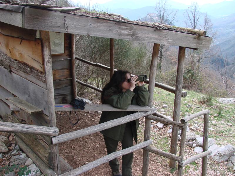 Monitoring of the Golden Eagle at the Observatory of Civitella