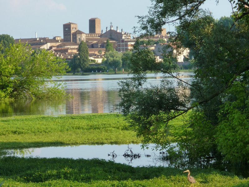 View of Mantua from the cycle facilities Cittadella-Sparafucile with Purple Heron