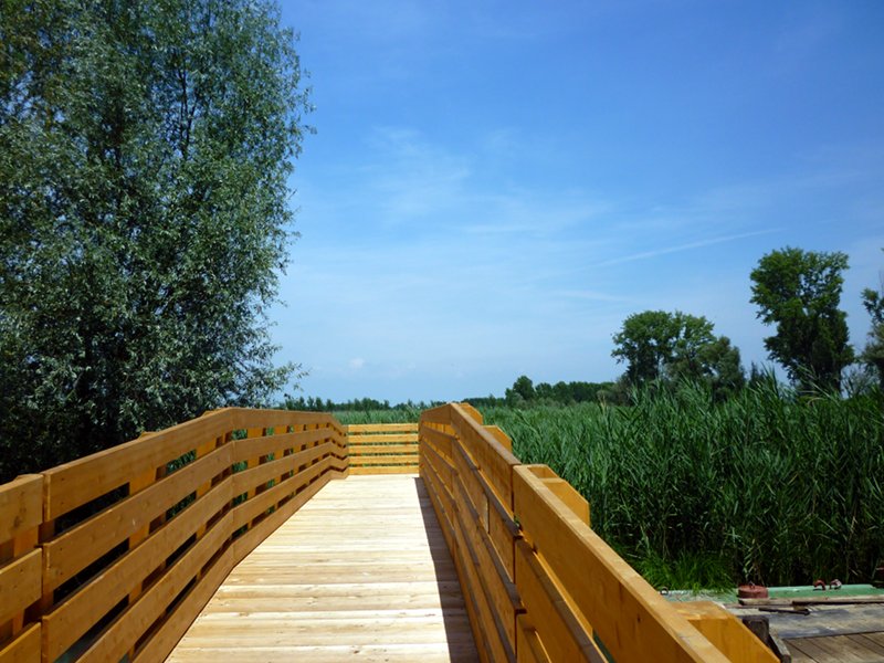 Rivalta sul Mincio, pedestrian bridge towards the island of reeds