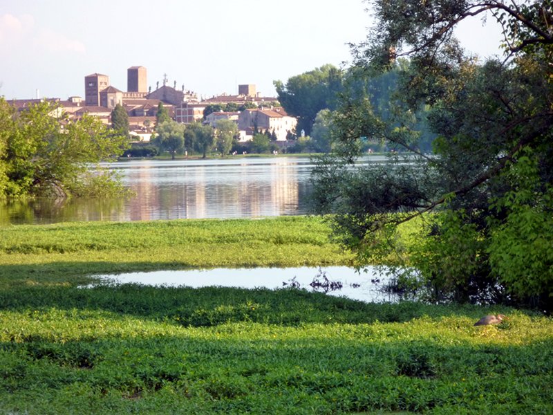 Sponda destra lago di Mezzo a Mantova
