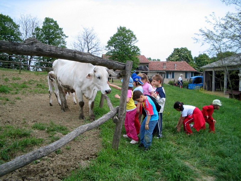 Kinder und Kuh