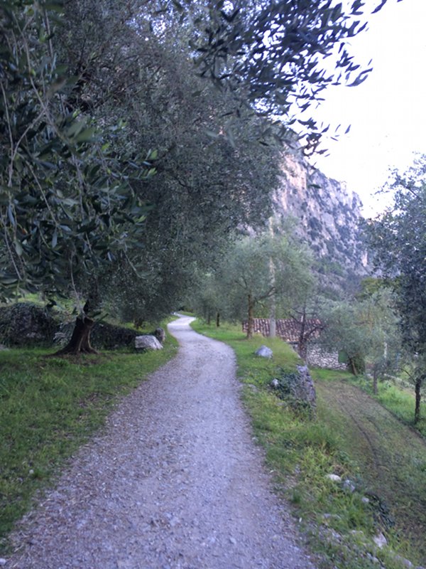 Campagnola path