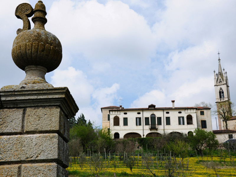 Villa Mantua Benavides