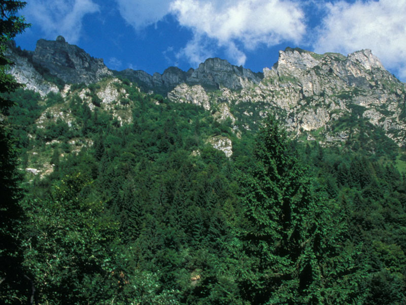 Panorama in Val di Lamen