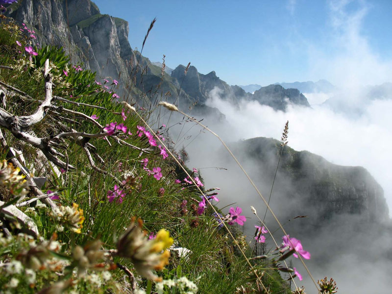 Wolken im Val di Lamen vom Aufstieg zum Dal Piaz
